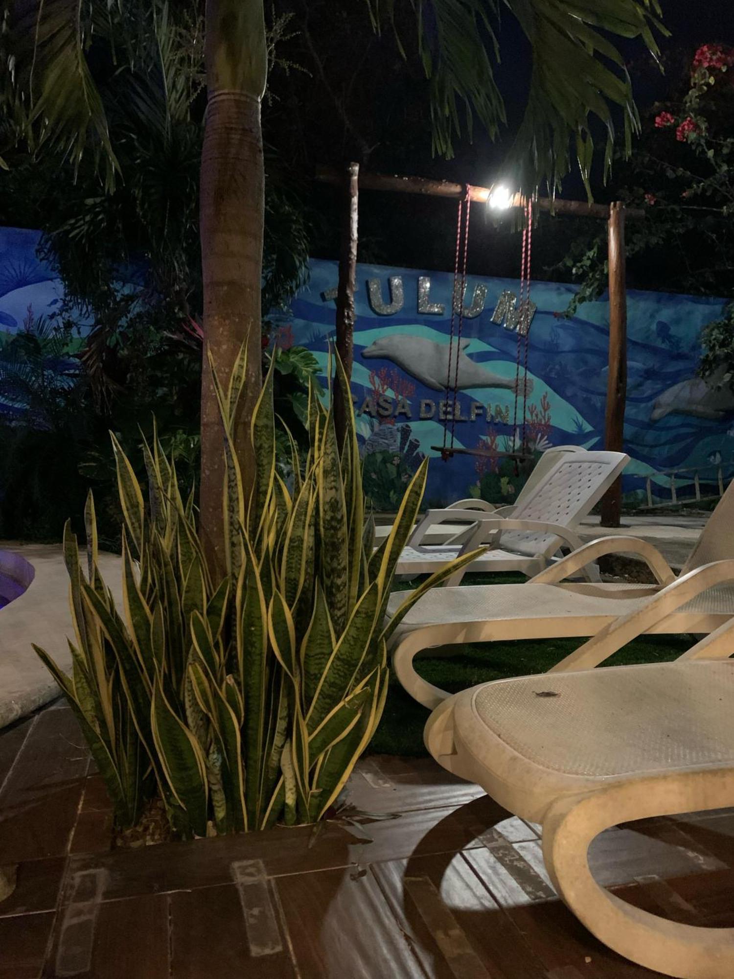 Appartamento Casa Delfin Tulum Macario Gomez Esterno foto